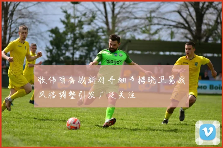 张伟丽备战新对手细节揭晓卫冕战风格调整引发广泛关注